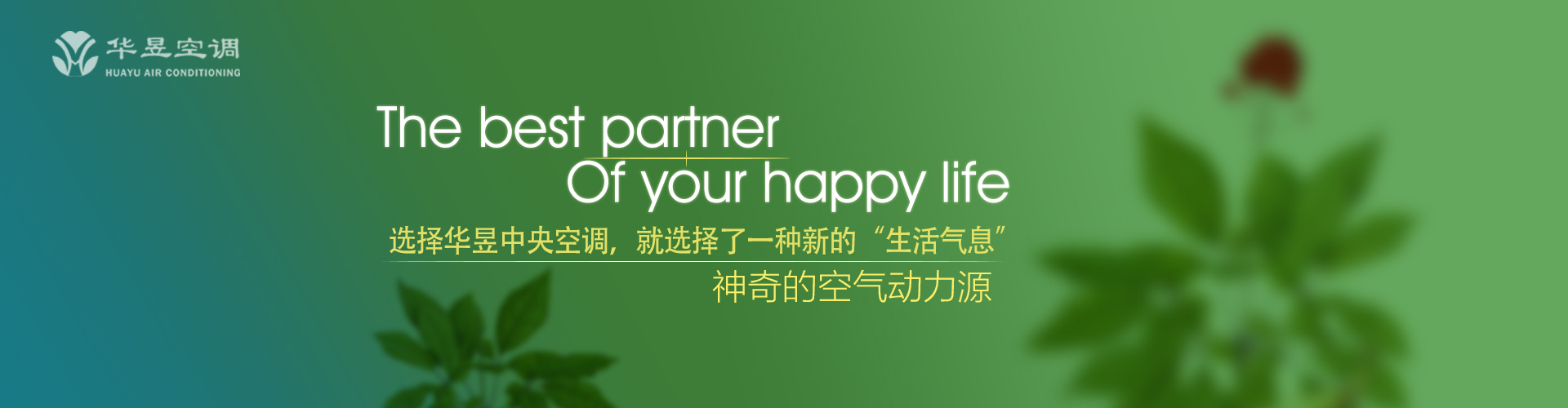 自命清高网